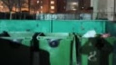 В Новосибирске в 30-градусный мороз в мусорном баке нашли мл...