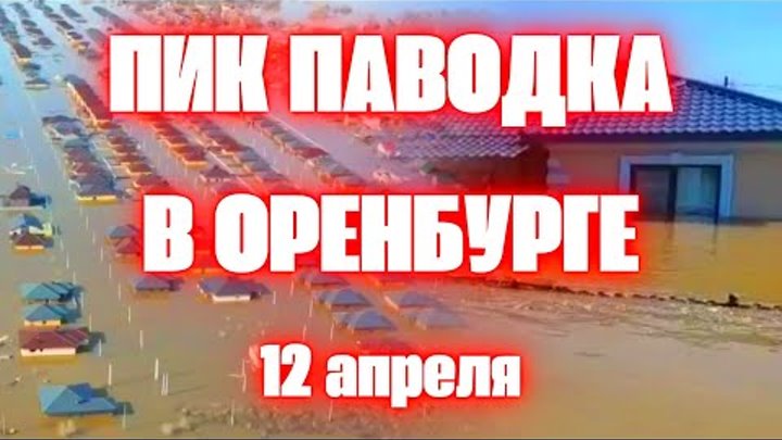 Наводнение в Оренбурге сегодня затопило губернатора, вода добралась  ...