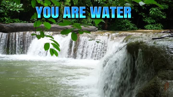 Ты вода