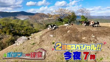 ナスD大冒険TV 240225 動画 | 2024年2月25日