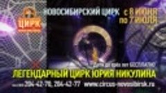 Новосибирский цирк с 8 июня!
