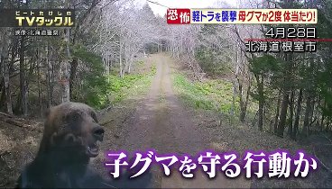 ビートたけしのTVタックル 240505 動画 | 2024年5月5日