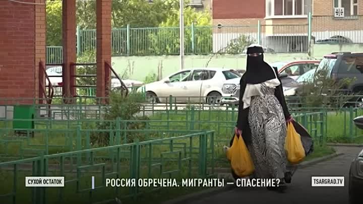 Пронько： Россия обречена. Мигранты — спасение？