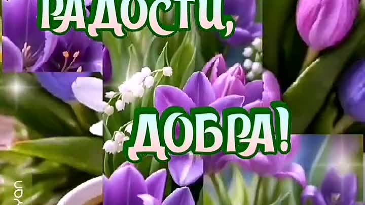 С Добрым Весенним утром! 🍵🌷💞.mp4