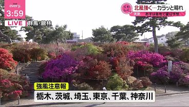 news every 240419 動画 関東各地で強風と黄砂、洗車場に行列も | 2024年4月19日