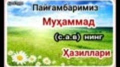 Пайғамбаримиз МУҲАММАД (с.а.в) нинг Ҳазиллари. 