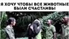 Ваше любимое животное 👇🏻👇🏻👇🏻