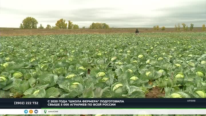 В Хакасии появилась "Школа фермера"