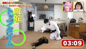 動物スクープ100連発 240229 動画 爆笑！寝たいご主人VS起こしたい犬ネコ | 2024年2月29日