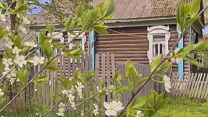 Эх, деревня... видео kalinicheva nature