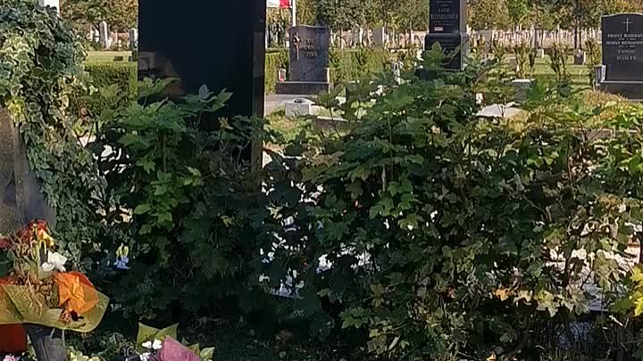 Курт Хауэнштайн, Falco- их могилы-[Wiener Zentralfriedhof] (Централь ...