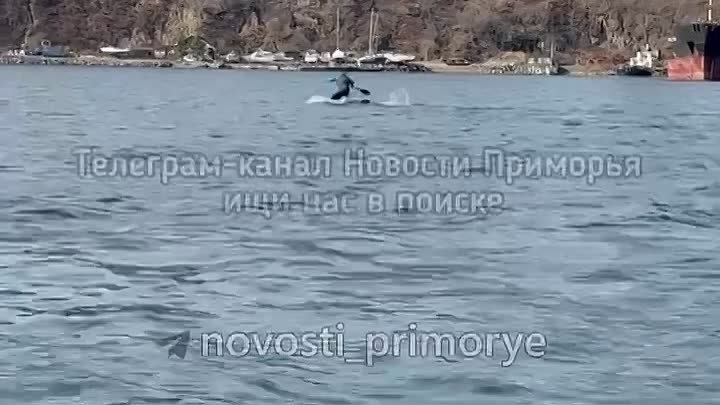 Видео