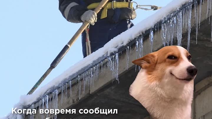 Мем сосульки