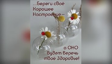 Всё,что нам нужно...