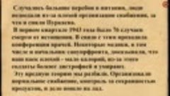 Большие наши генералы заболели барством. Дневники маршала А....