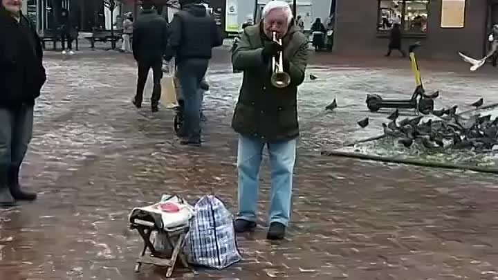 Видео от Калининградское измерение (1)