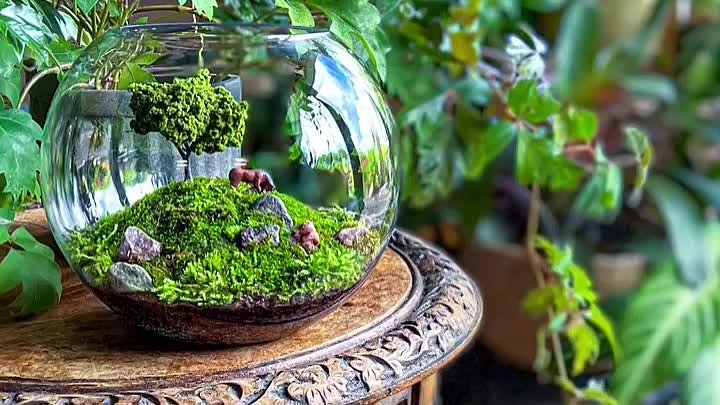 doodlebirdterrariums