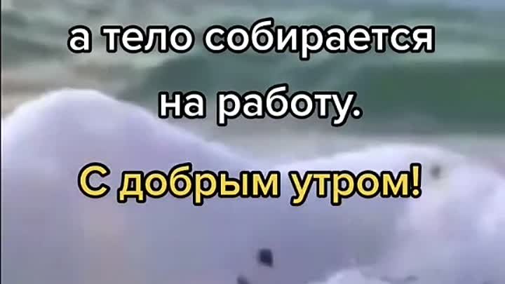 Доброе утро 