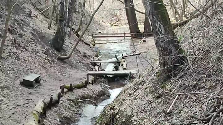 В середине апреля... 