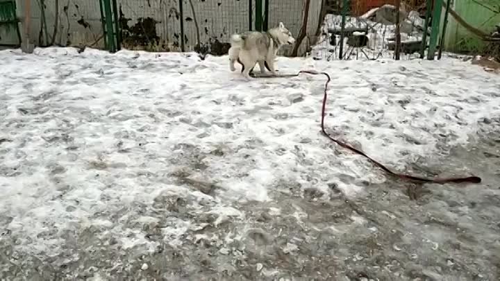 Ева и её подруга Ариша