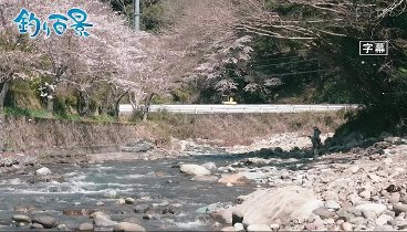 釣り百景  240509 動画 桜の花びらが舞い、自然の息吹を感じる早春 | 2024年5月9日