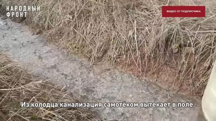 Видео от Народного фронта