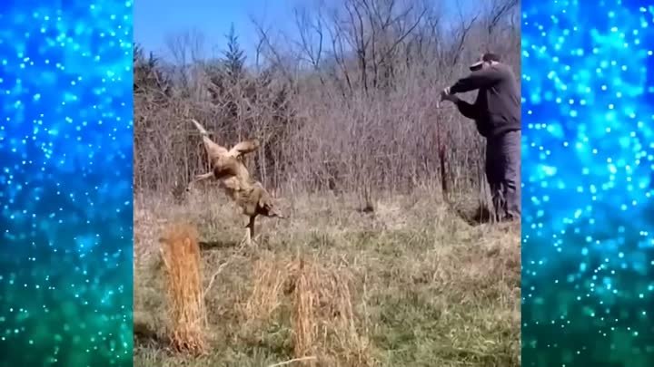 Храбрый Фермер спасает измученного зверя