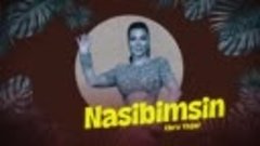 Ebru-Yaşar-Nasibimsin-Official-Audio-Vid_368.mp4