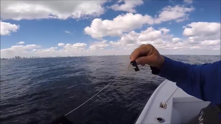 Kitefishing