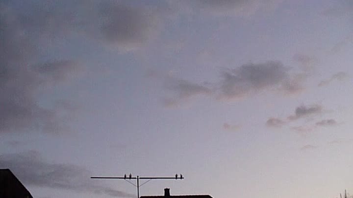 С.Е.Г.(ФРГ) -17.04.2015 - Спуск моих Андижанских  голубей с хавазы.