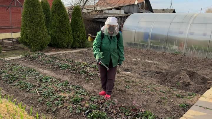 Борьба с вредителями и болезнями растений весной: эффективные методы ...