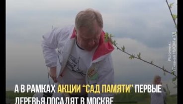 19 апреля – День памяти жертвам геноцида русского народа нацистами в ...