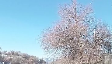 Чимганские горы красивый, теплый, Узбекской Швейцарии. 23.12.23г