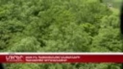 В 2025 году в Армении проведут инвентаризацию лесов