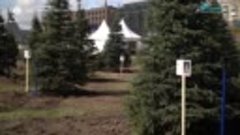 90 елей из уникального проекта «Елки России» высажены в парк...