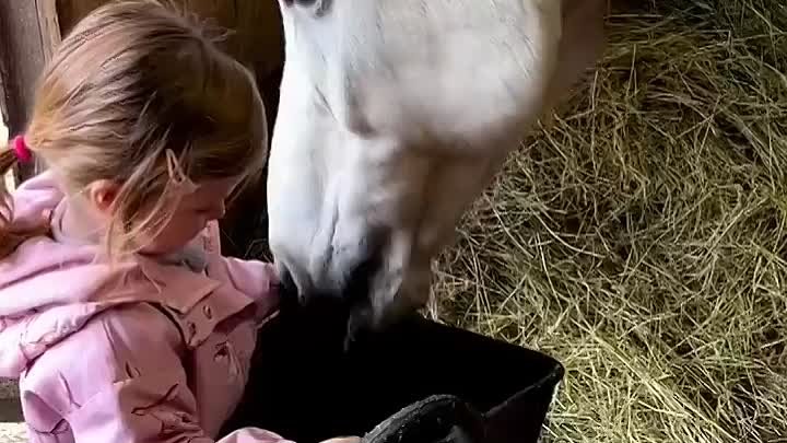 А ключ один - любовь и доброта!...