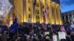 грузия митинг2