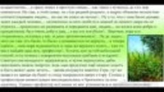 Сказка о юном школьнике Степане, его друге профессоре и их п...