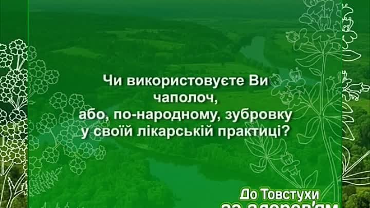 Фітотерапія. "До Товстухи за здоров'ям", вип. 30 | tov ...