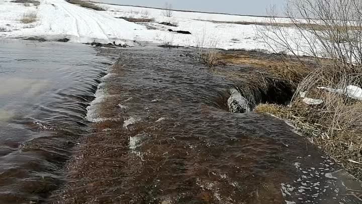 Паводок в СХП "Борма"