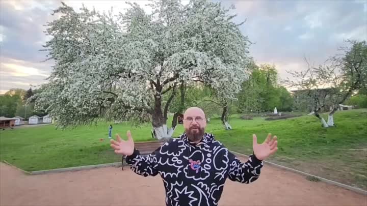 Яблони в Гребнево