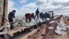 Спасатели пытаются отбить дорогу у большой воды в Тюменской ...