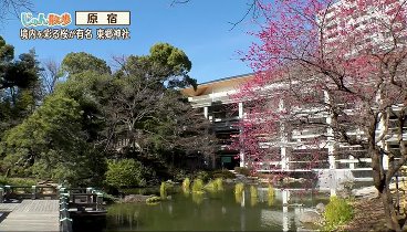 じゅん散歩 240311 動画 | 2024年3月11日