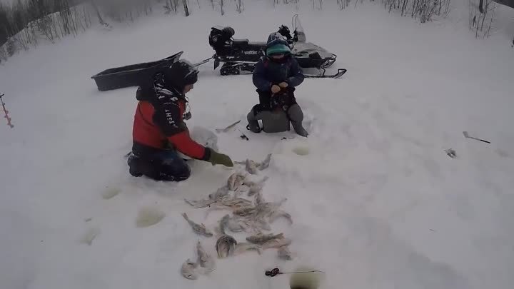 Не зря мы сюда забрались! В этих местах много хищника