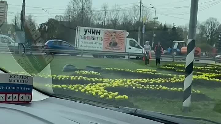 В центре Одинцово высаживают цветы 