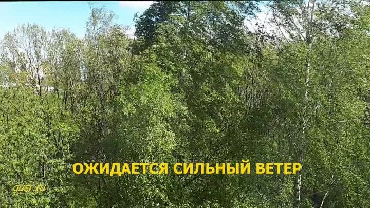 Ветер