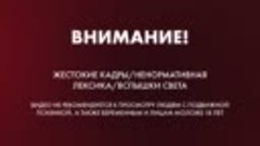 В Самарской области установили «инсталляцию из десятка мёртв...