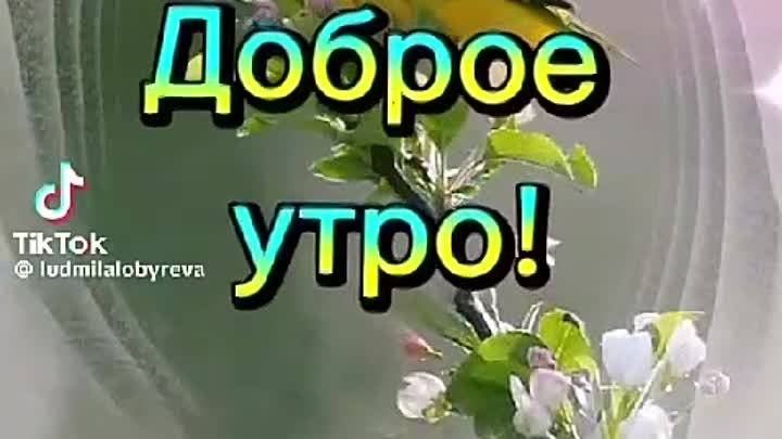 Доброе утречко!!! 