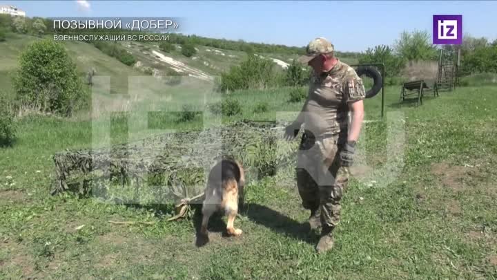 Корреспондент РЕН ТВ Денис Кулага показал тренировочный лагерь собак ...