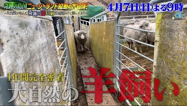 ワールドプロレスリング 240406 動画 | 2024年4月6日